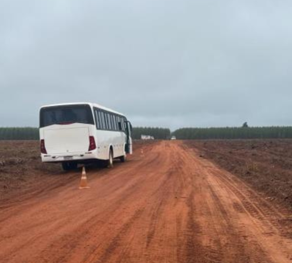 Estruturas de Apoio